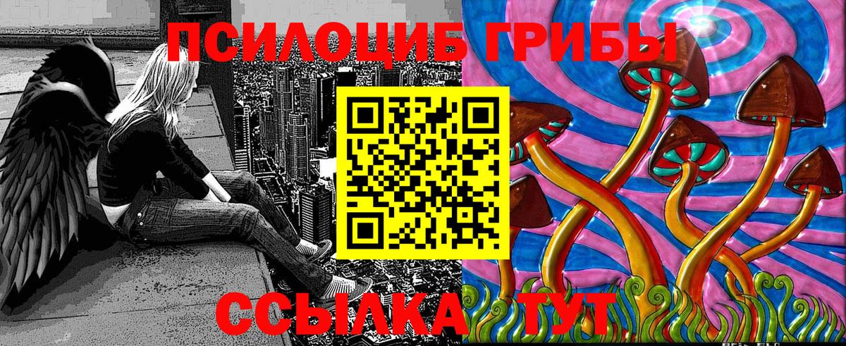 Дедовск  купить закладку  Вход с VPN  Псилоцибиновые грибы Psilocybine cubensis 