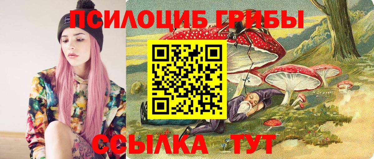 Псилоцибиновые грибы Cubensis Дедовск